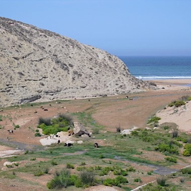 Camp not far from the beach