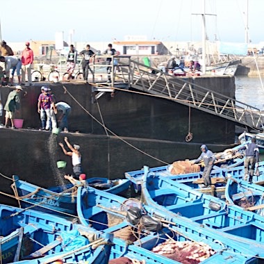 Landing the catch