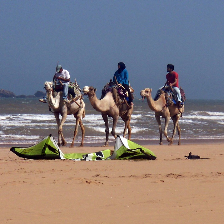 Beach Trek in Morocco
