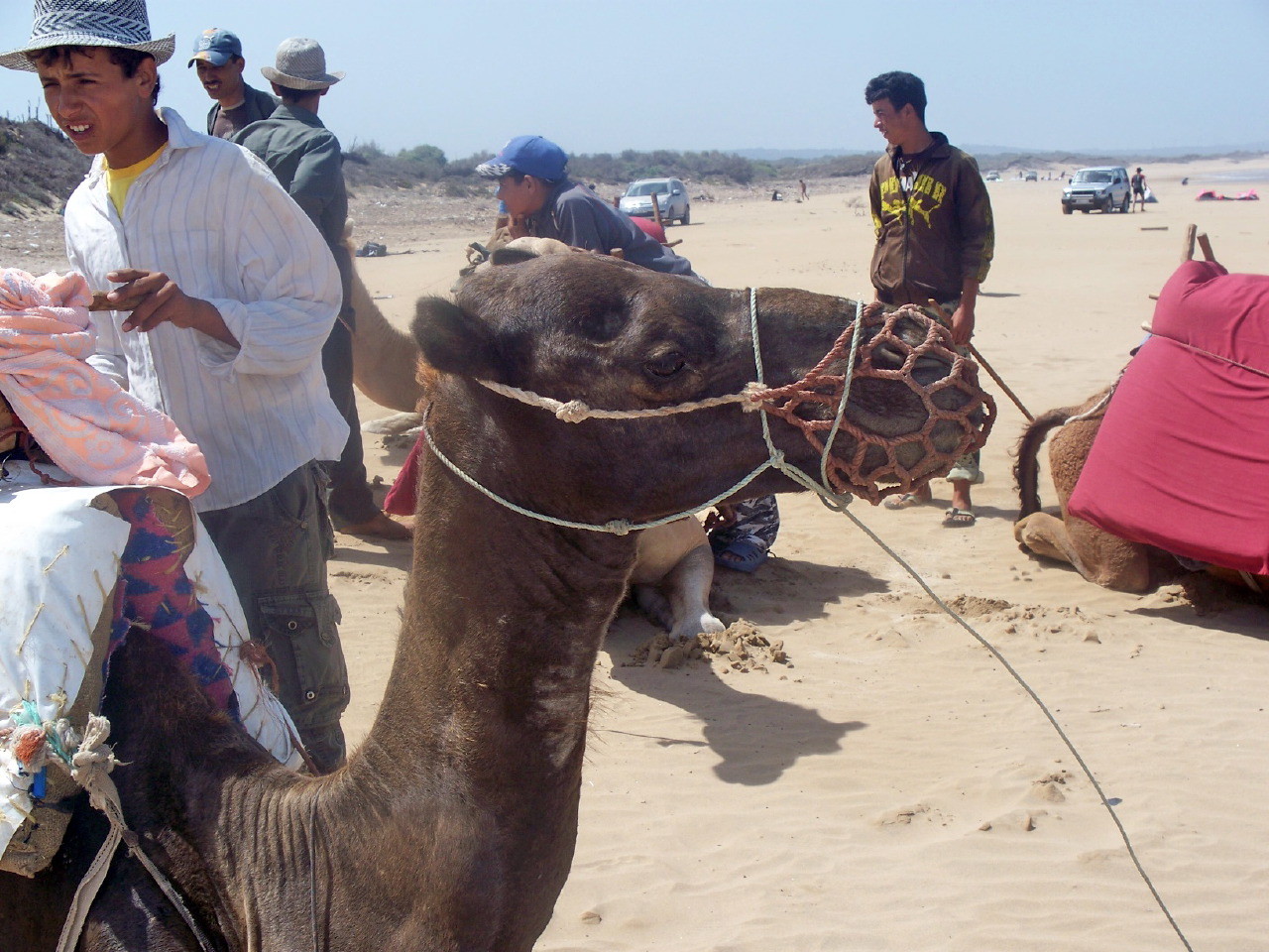 Atlantic Coast Trek