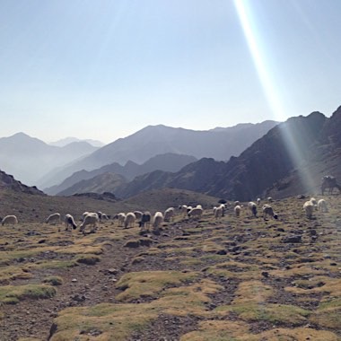 Mountain panorama