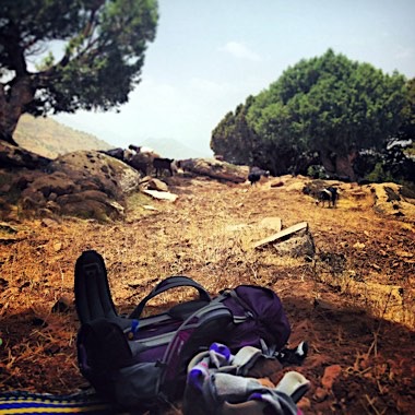 Berber Markets Trek