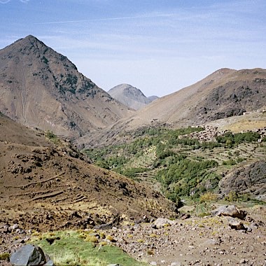 Timichi
