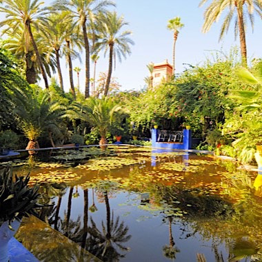 Jardin de Majorelles