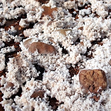 Salt crystals on the ground