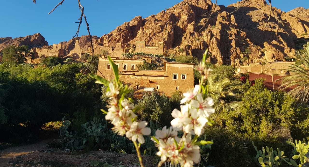 Tafraoute Trek