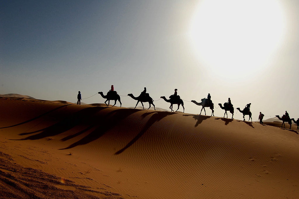 Camel train the Sahara desert