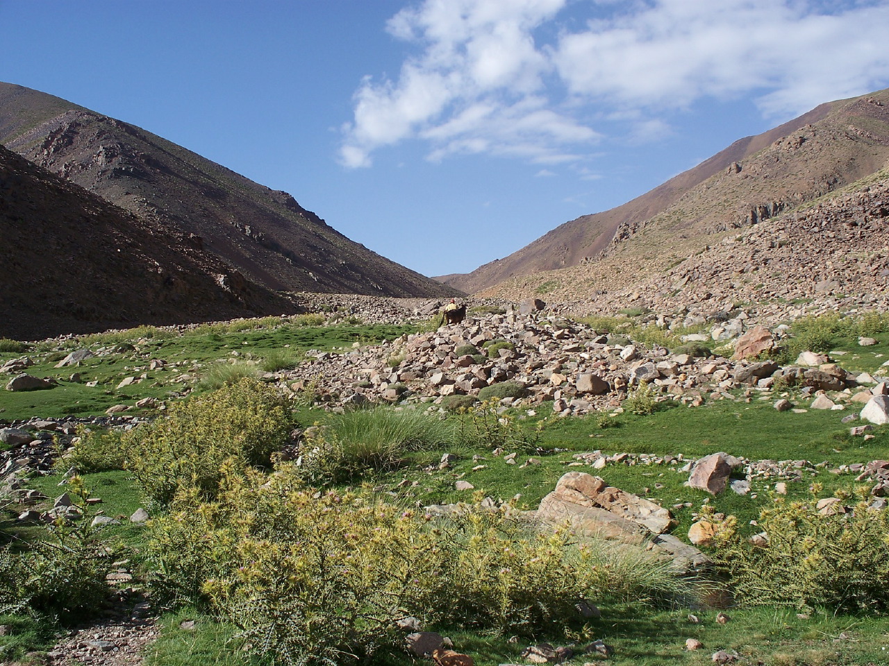 Family treks in Morocco